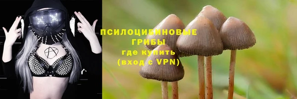 a pvp Армянск