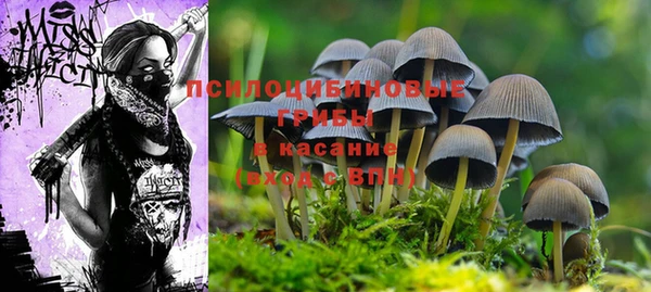 герыч Арсеньев