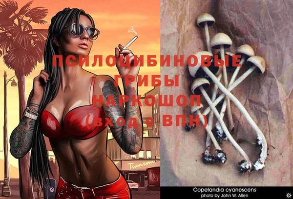 a pvp Армянск