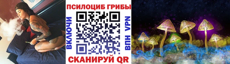 где можно купить   kraken ТОР  Псилоцибиновые грибы Psilocybine cubensis  Межгорье 